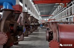 九游游戏官网-追求健康,你我一起成长被评为2019年度三水区骨干企业